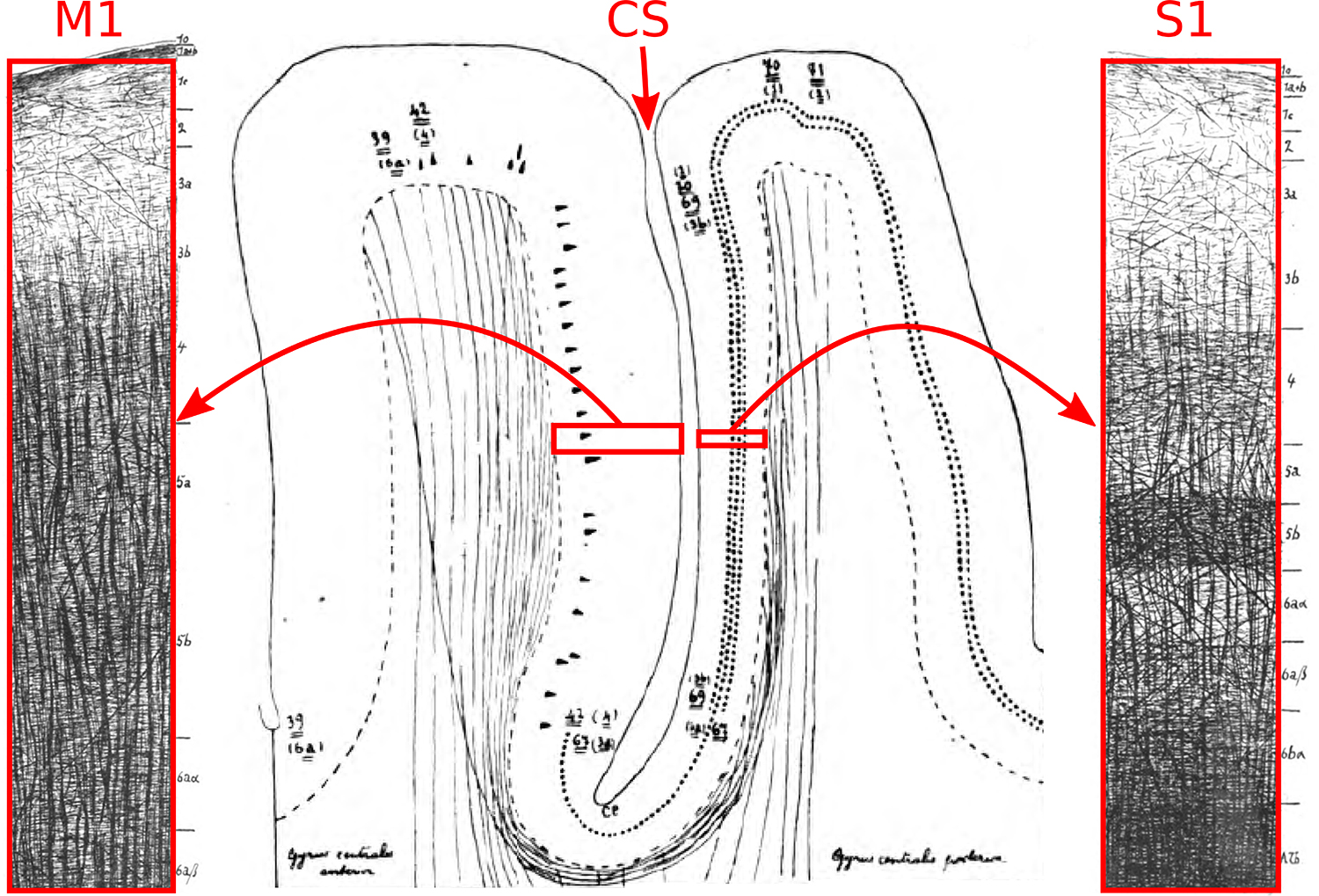 FIG. 8.