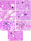 Fig 10