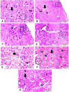 Fig 11