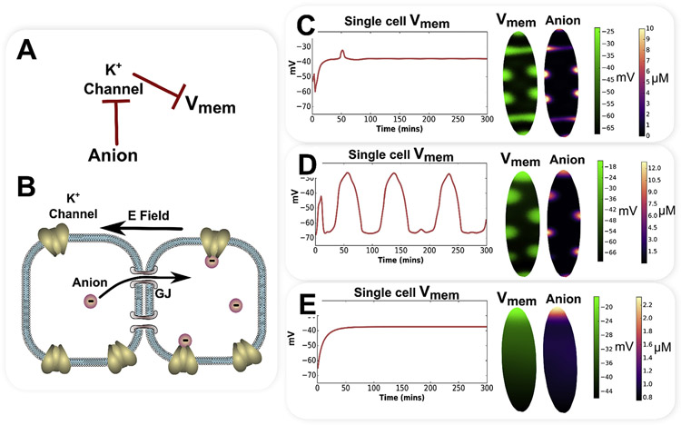 Fig. 4.