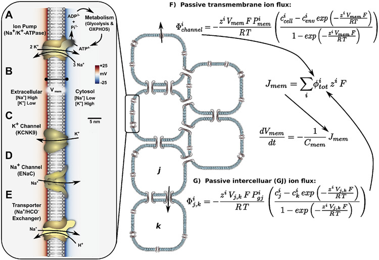 Fig. 2.