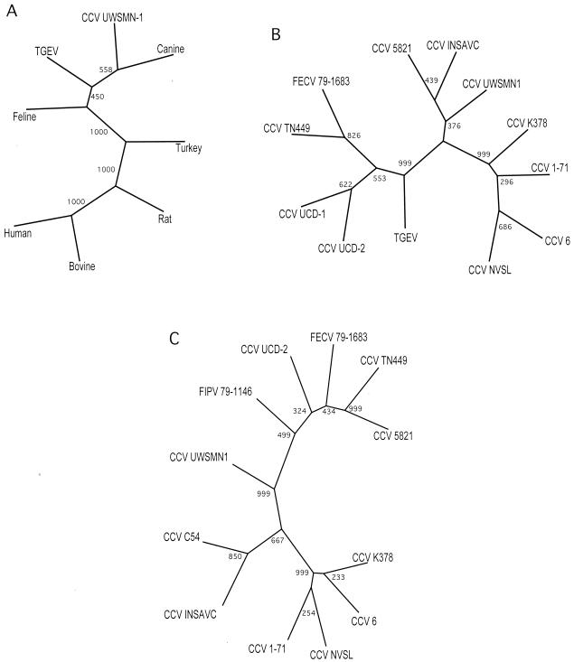 FIG. 3.