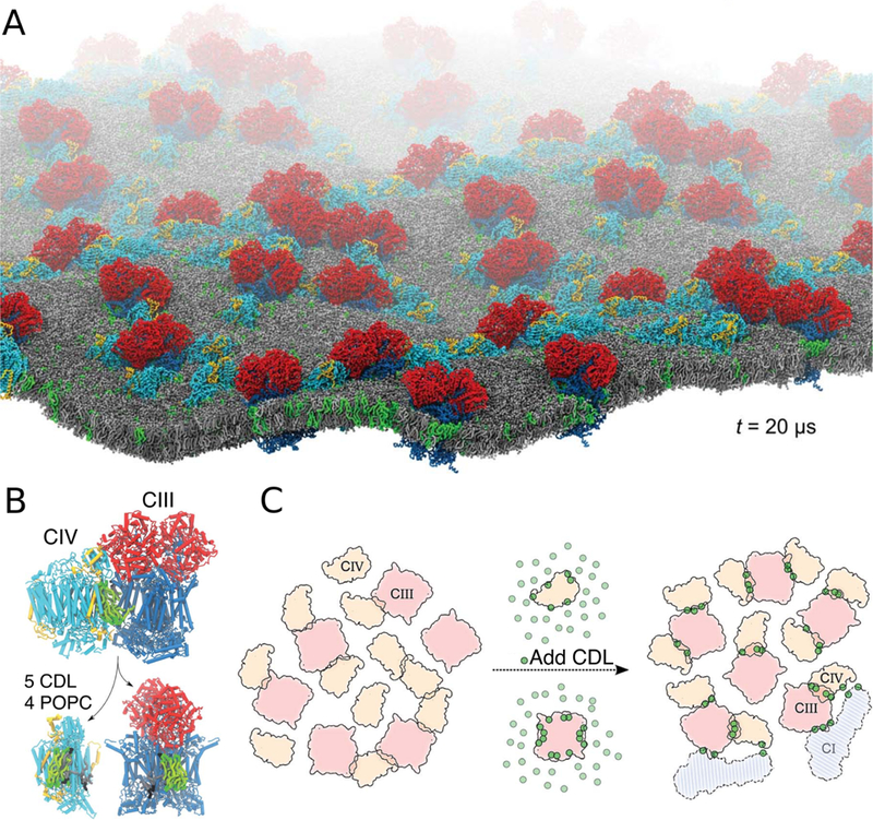 Figure 44