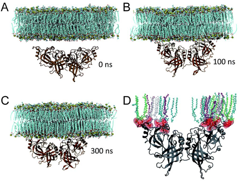 Figure 37