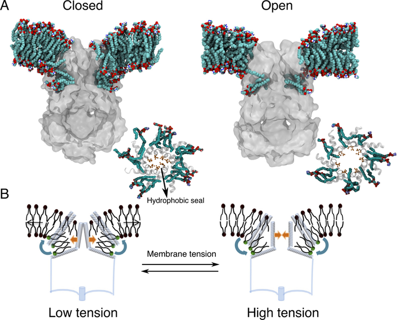 Figure 16