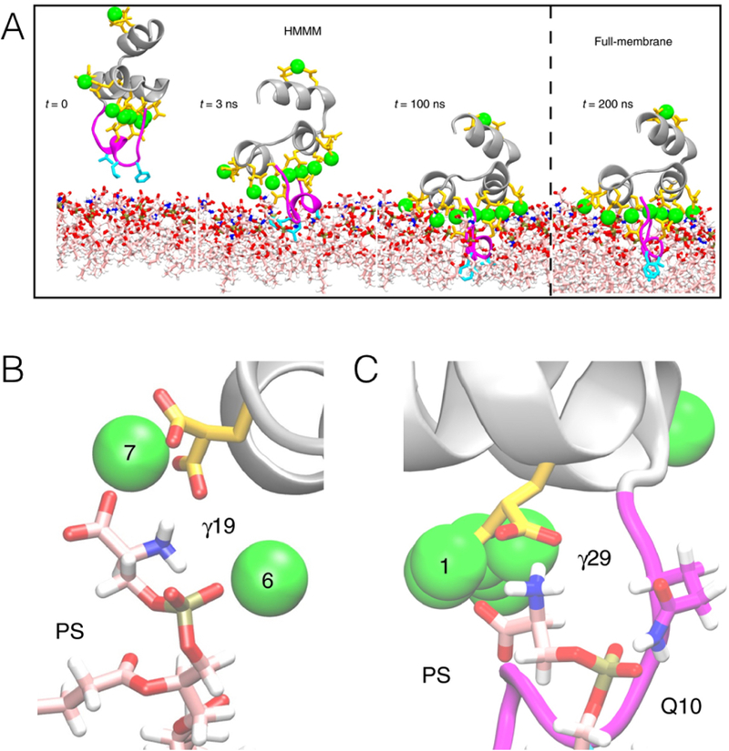 Figure 42