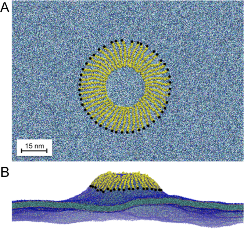 Figure 32