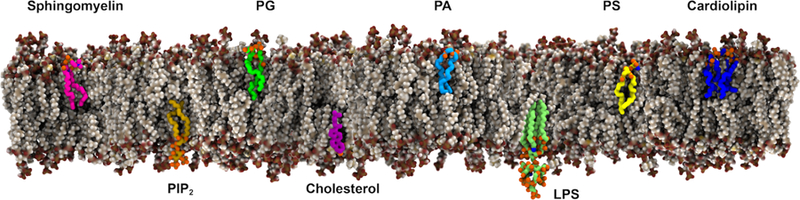 Figure 39