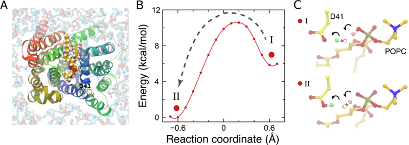 Figure 21