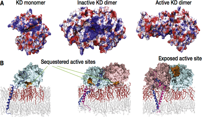 Figure 25