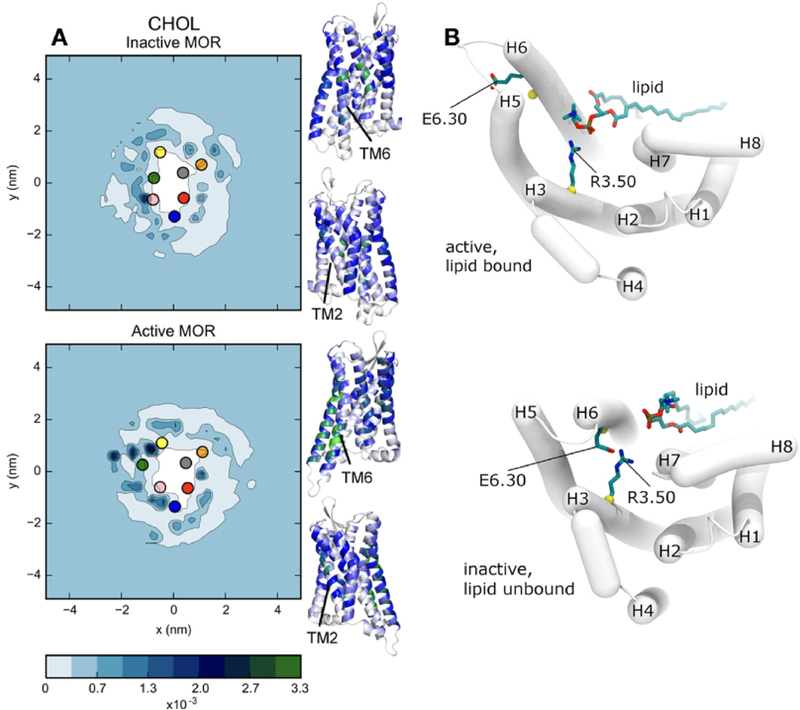 Figure 23