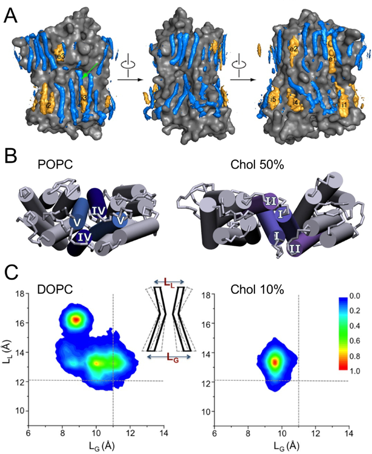 Figure 40