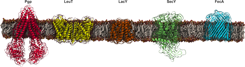 Figure 19