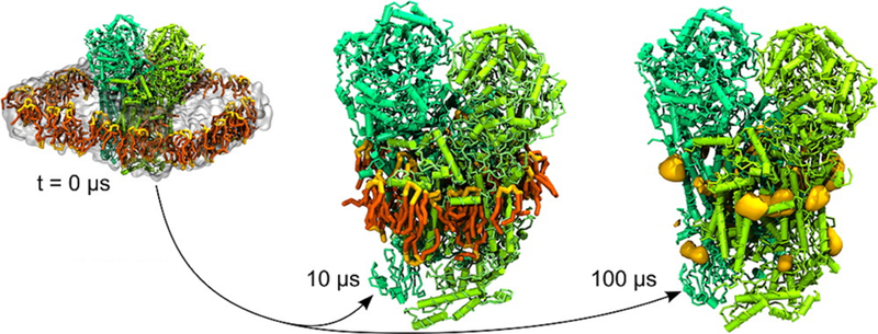 Figure 43