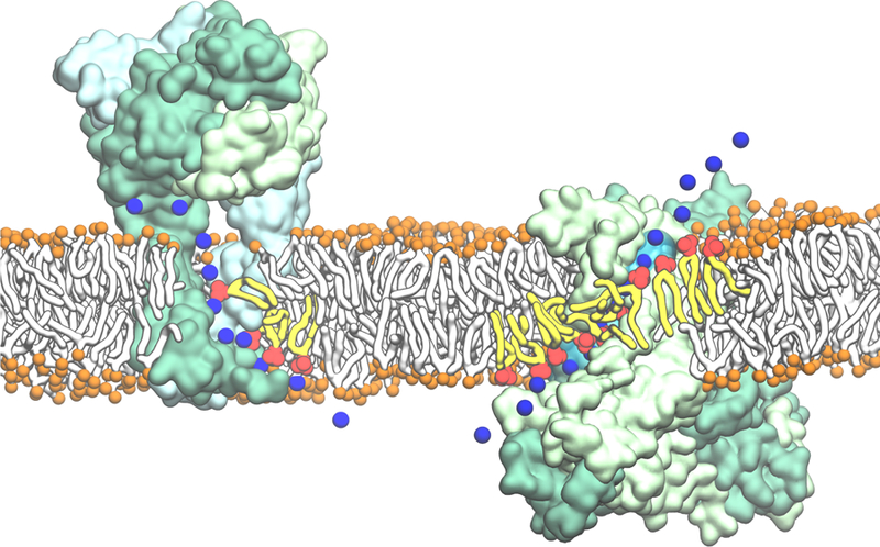 Figure 18