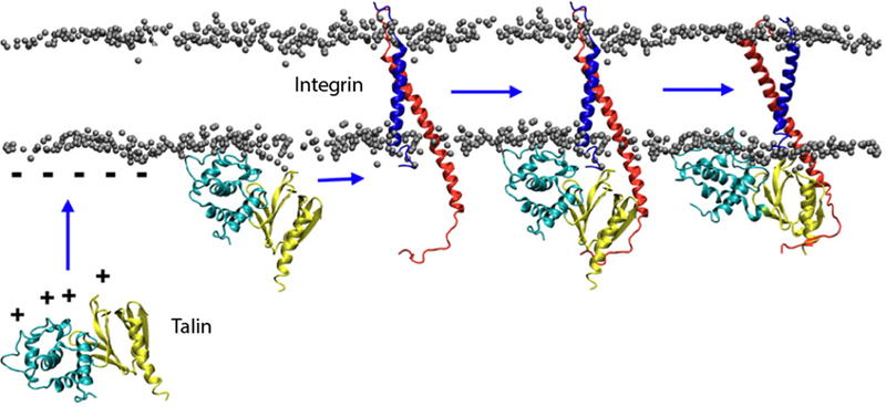 Figure 24