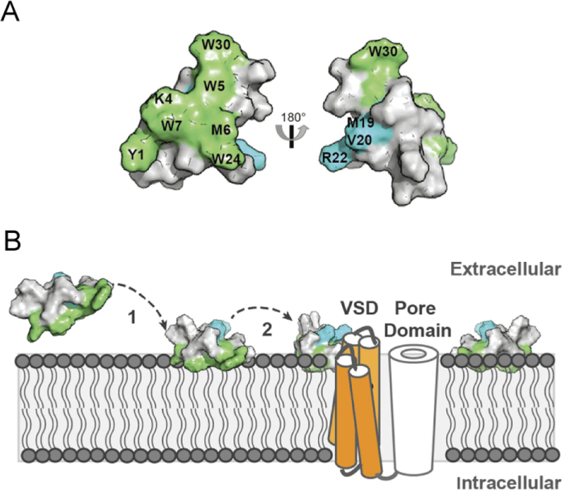 Figure 34