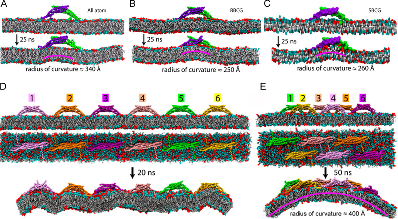 Figure 31