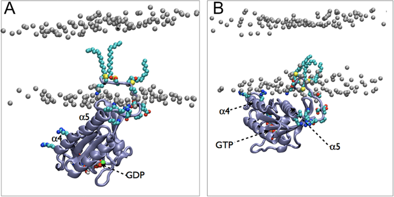 Figure 30