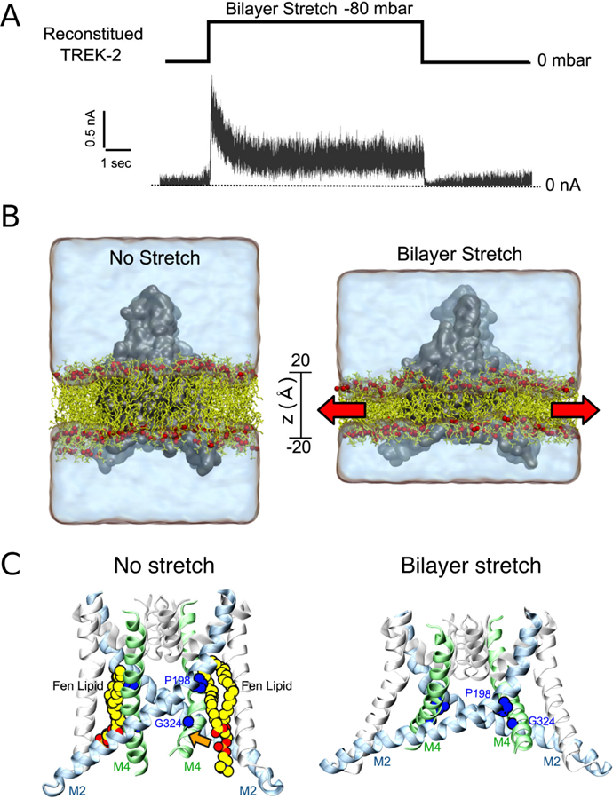 Figure 17