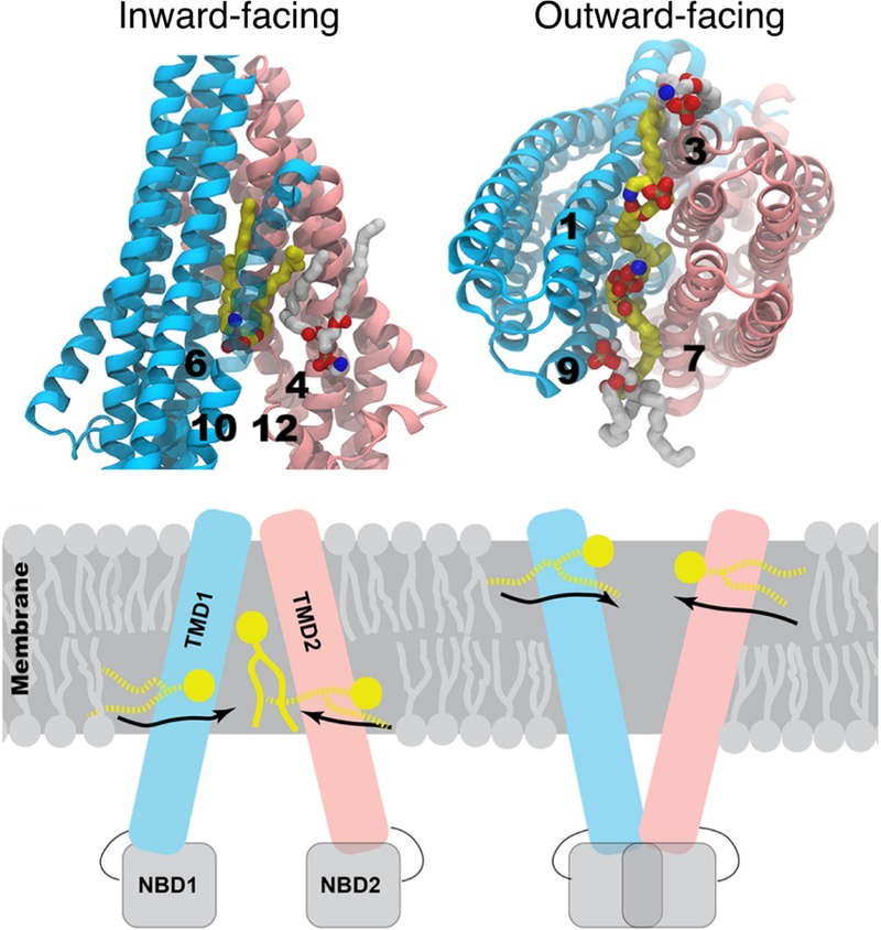 Figure 20