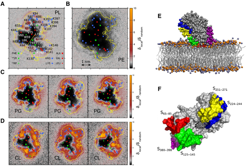 Figure 41