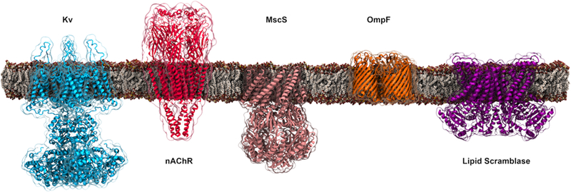 Figure 11