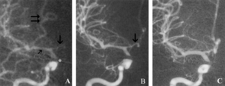 Fig 1.