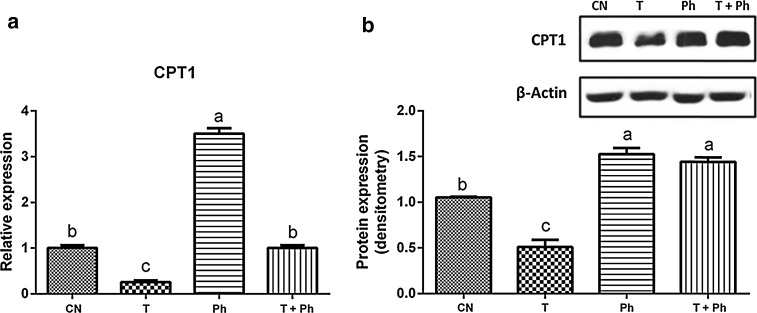 Fig. 4