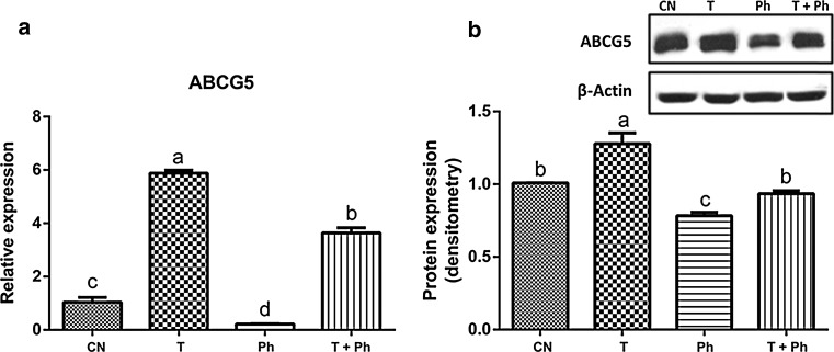 Fig. 3