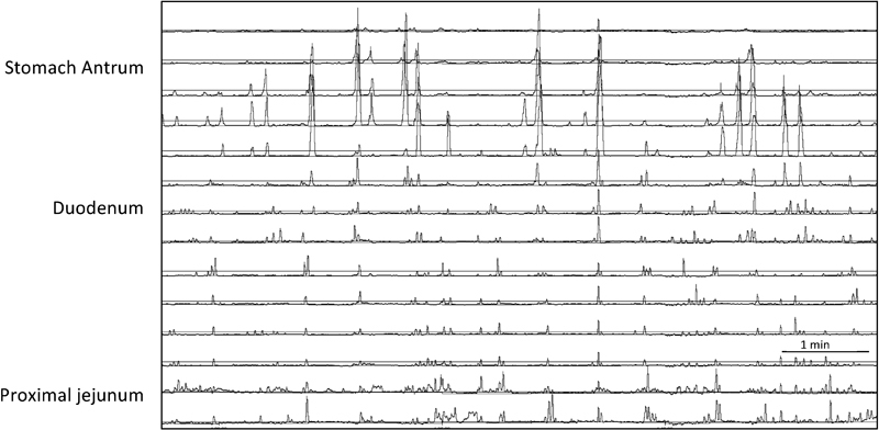 Fig. 3