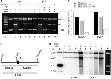 Figure 2.