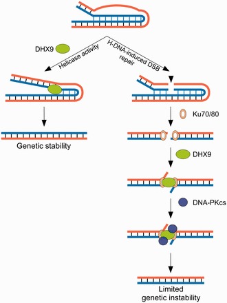 Figure 7.