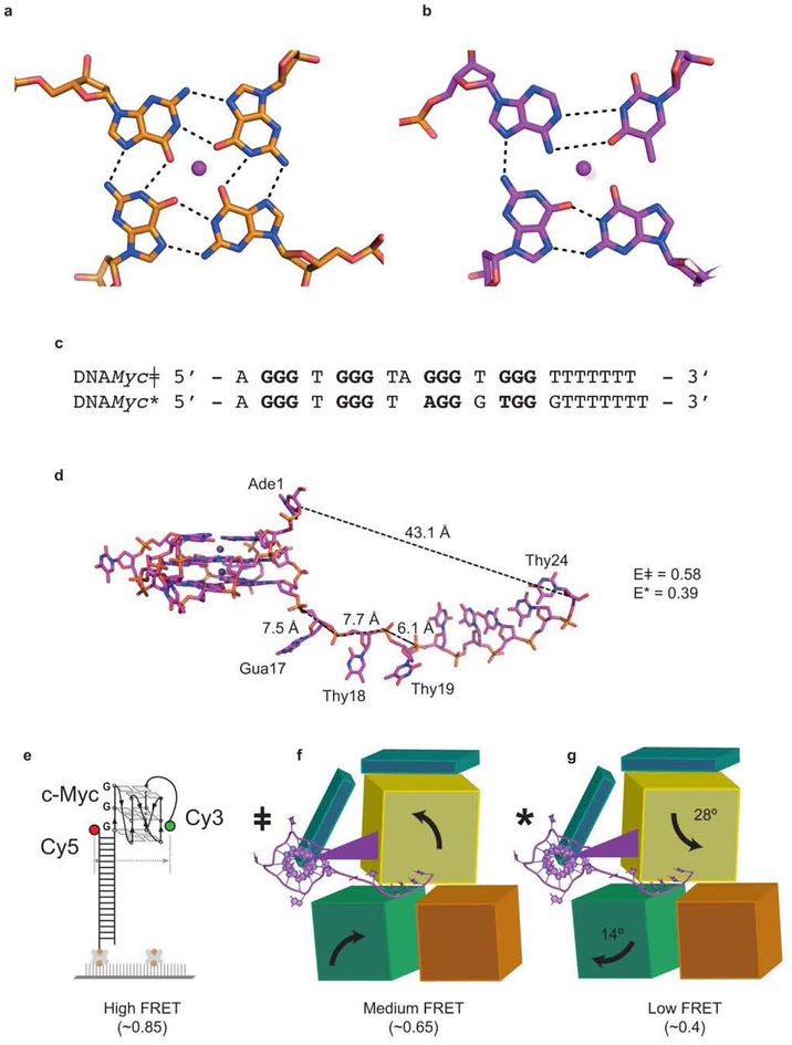 Extended Data Figure 8.