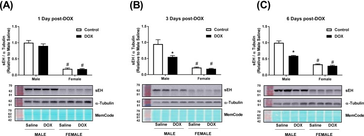 Fig 8