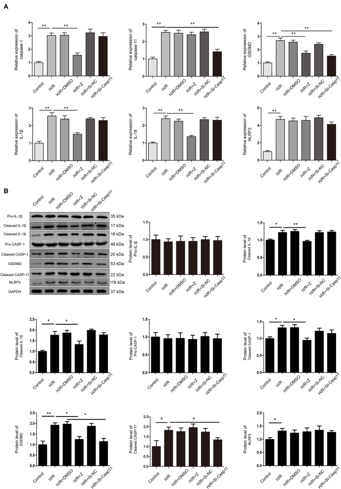 Figure 6