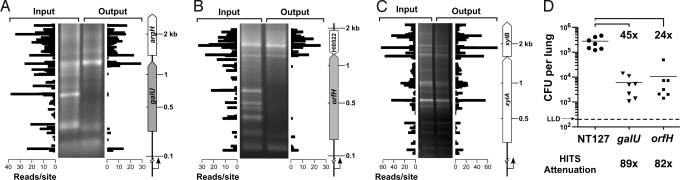 Fig. 3.