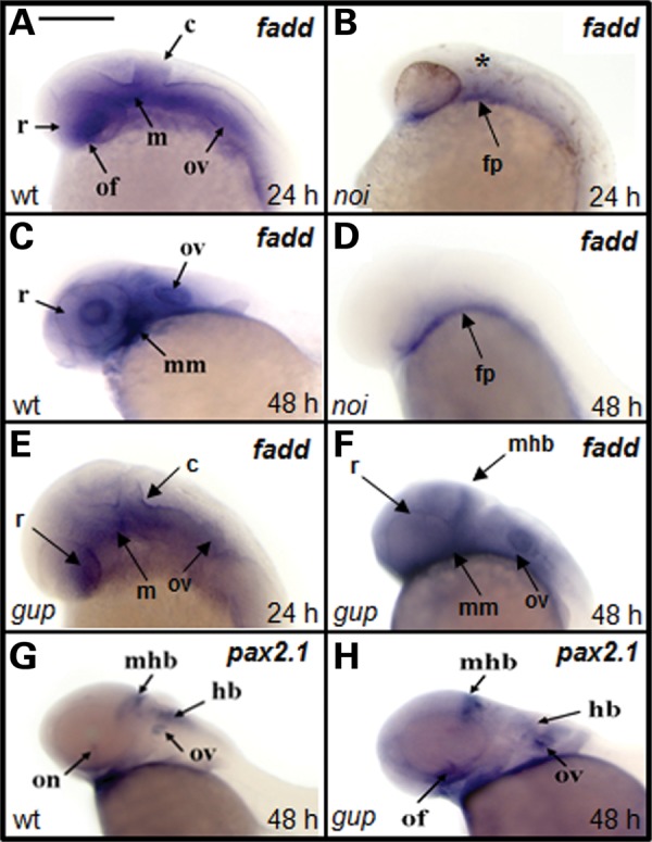 Figure 1.