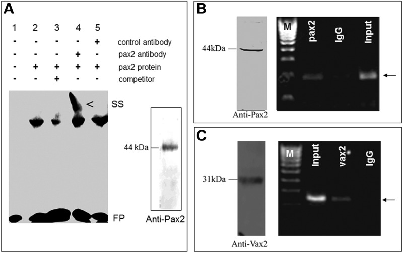 Figure 3.