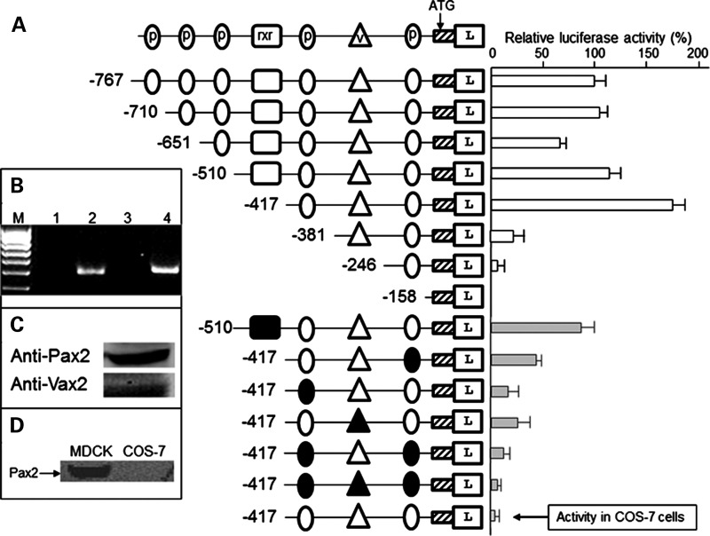 Figure 2.