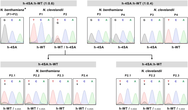 Figure 7