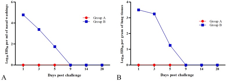 Fig. 9.