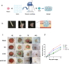 Fig. 3