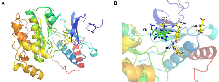 FIGURE 3