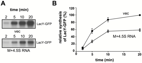 FIG 6 