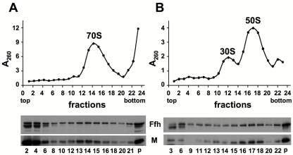 FIG 8 