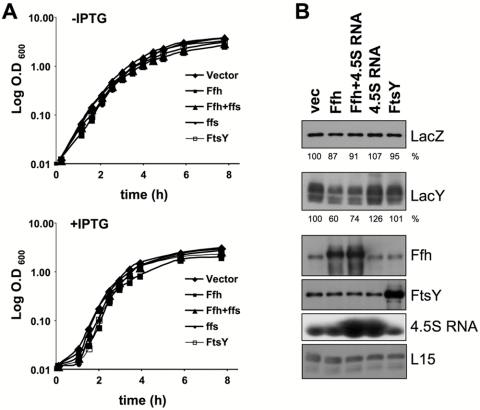 FIG 1 