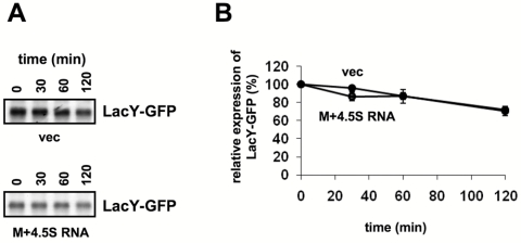 FIG 5 