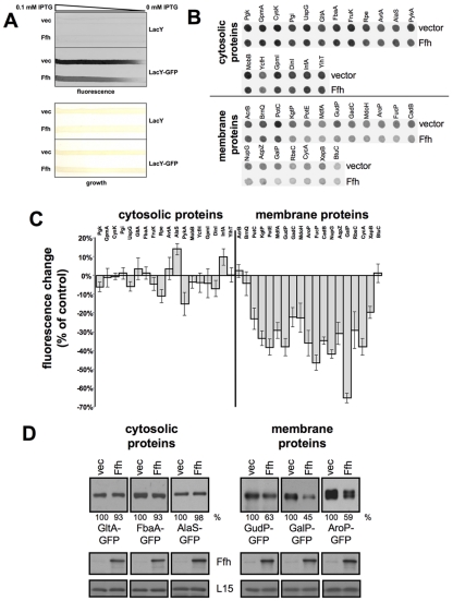 FIG 2 