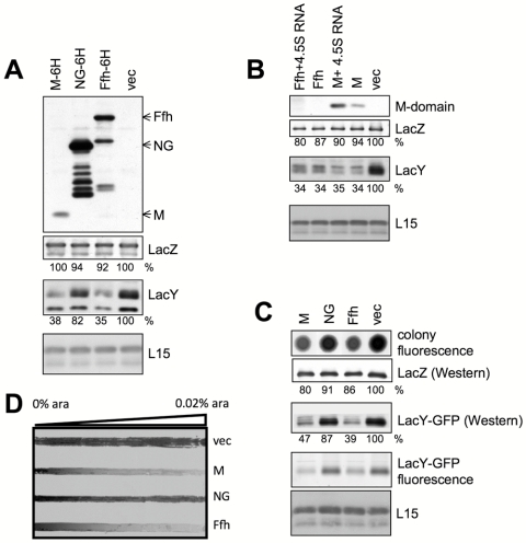 FIG 3 